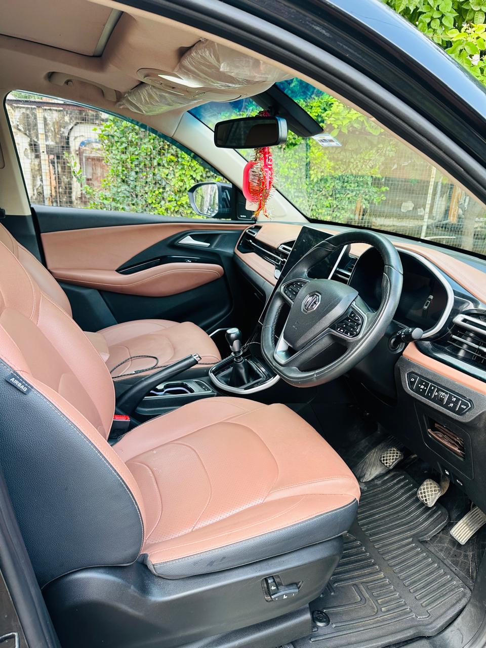 
								MG HECTOR (2024), full									